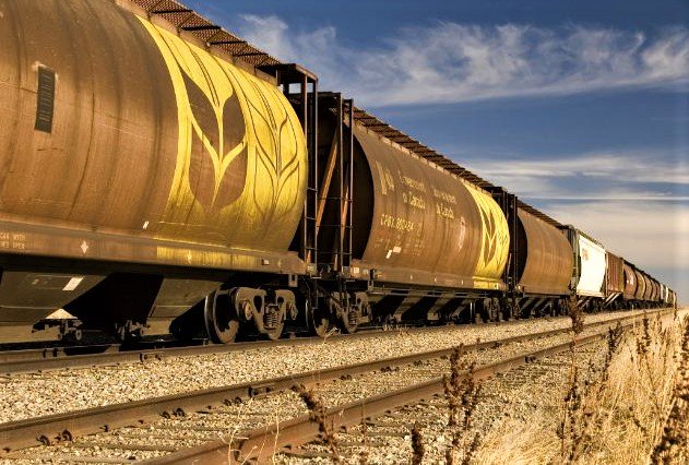 By 2024, grain exports will increase